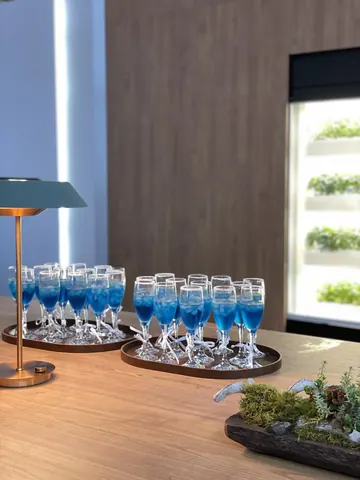 삼성(프랑크프루트메쎄)LighTEAing House vip tea service 운영 진행 사진