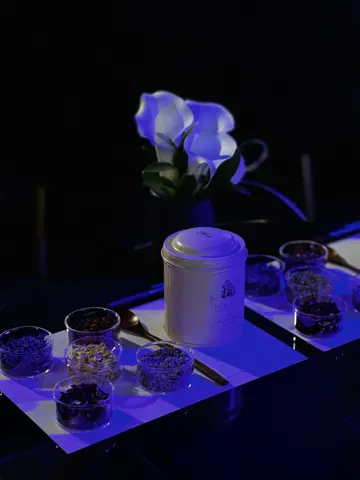 VIP티블렌딩클래스