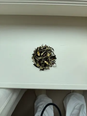 떼드영파리 진행 사진