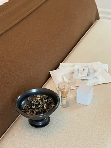 떼드영파리 진행 사진