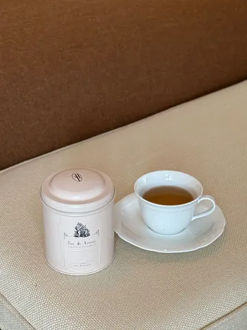 떼드영파리 진행 사진
