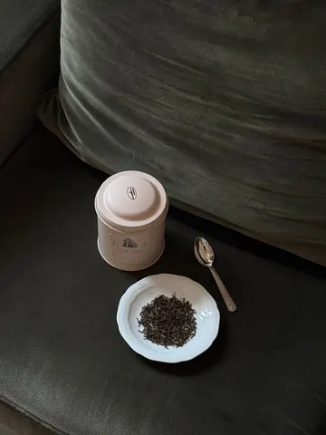 떼드영파리 진행 사진