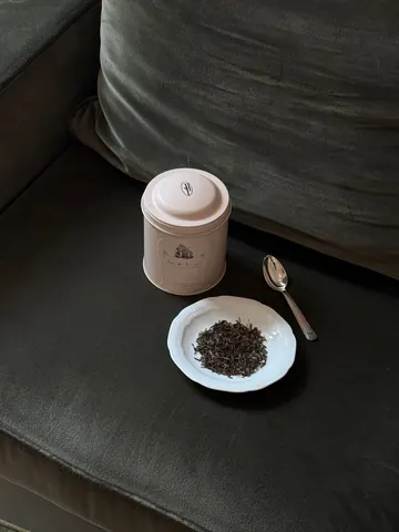 떼드영파리 진행 사진