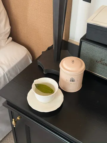 떼드영파리 진행 사진