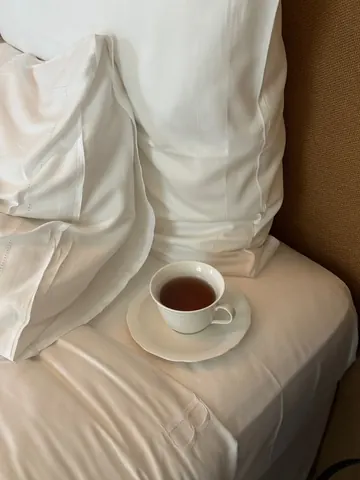 떼드영파리 진행 사진